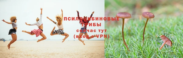 амф Баксан